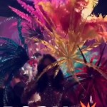 Victoria’s Secret Snap Chat Show