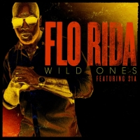Flo Rida Ft. Sia (David Guetta & Nicky Romero Remix) –  Wild Ones