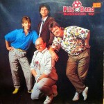 Çılgın Müzik Grupları