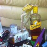 Cuma Sendromu 18