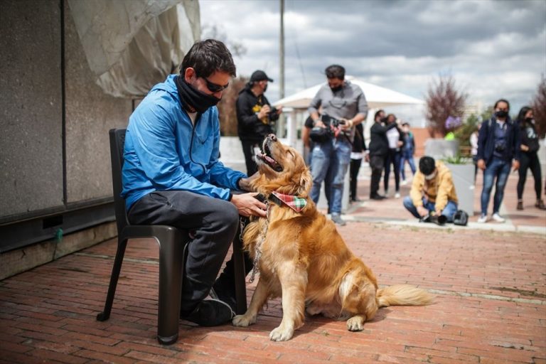 Bogota Flarmoni Orkestrası, güzel bir çağrı için konser verdi