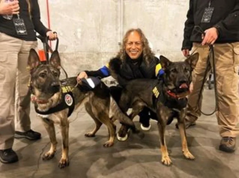 Metallica turneye corona virüs eğitimli köpeklerle çıkacak