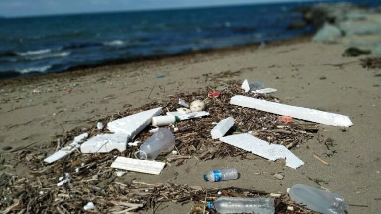 Karadeniz de katı atık ve plastik kirliliği hızla artıyor