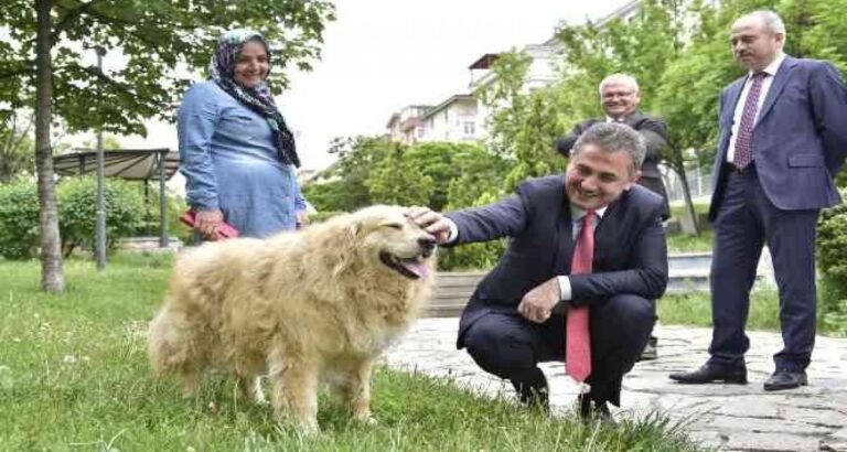 Alkışlanacak uygulama: Mamak’ta sokak hayvanlarını sahiplenenlere maddi destek