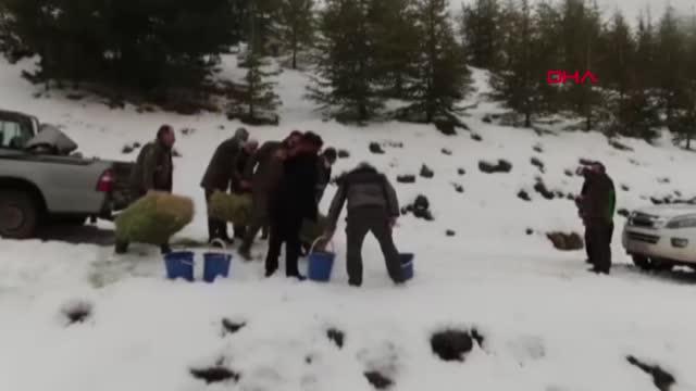 Burdur’da yaban hayvanları için yemleme çalışması yapıldı