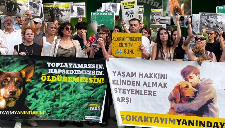 Sokak hayvanlarıyla ilgili kanun teklifi İstanbul’da protesto edildi